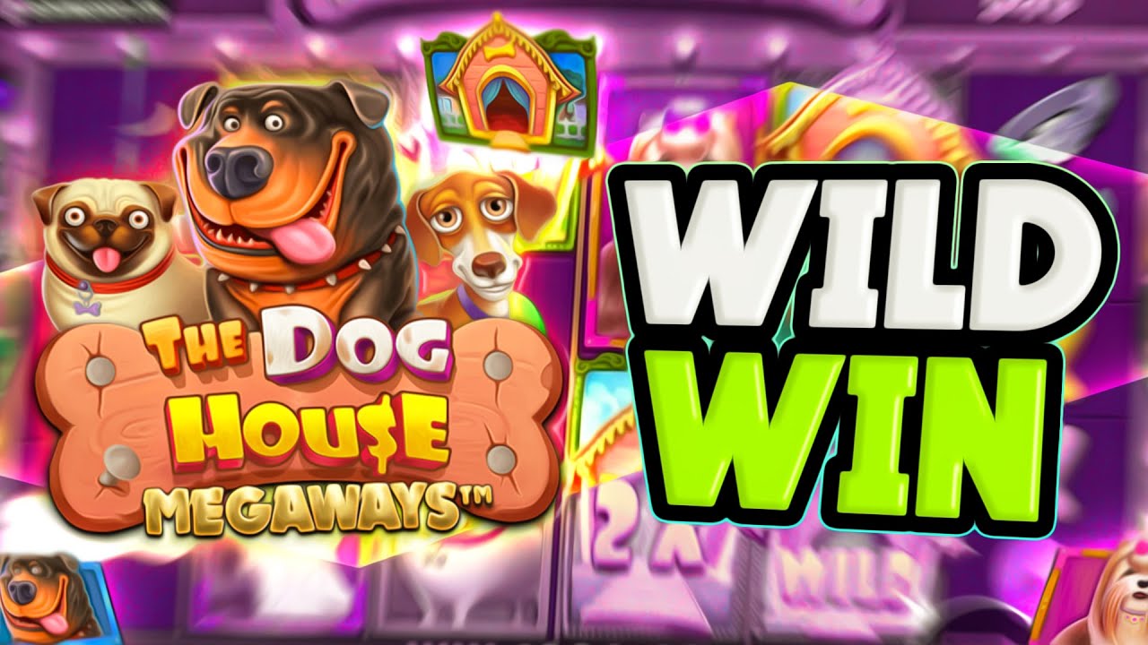 PRAGMATIC PLAY : บทนำสู่ The Dog House Megaways